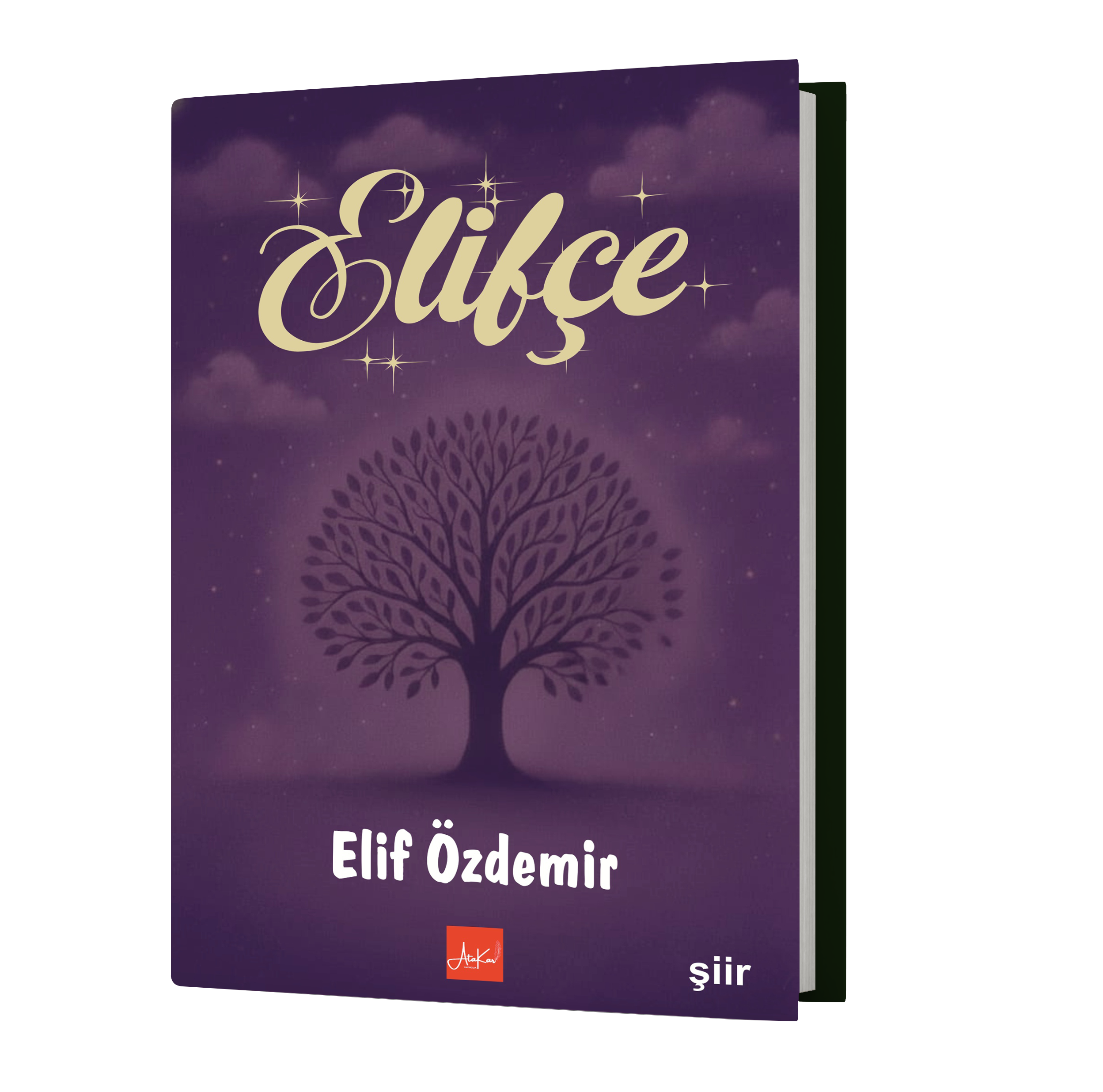 Elifçe , Elif Özdemir